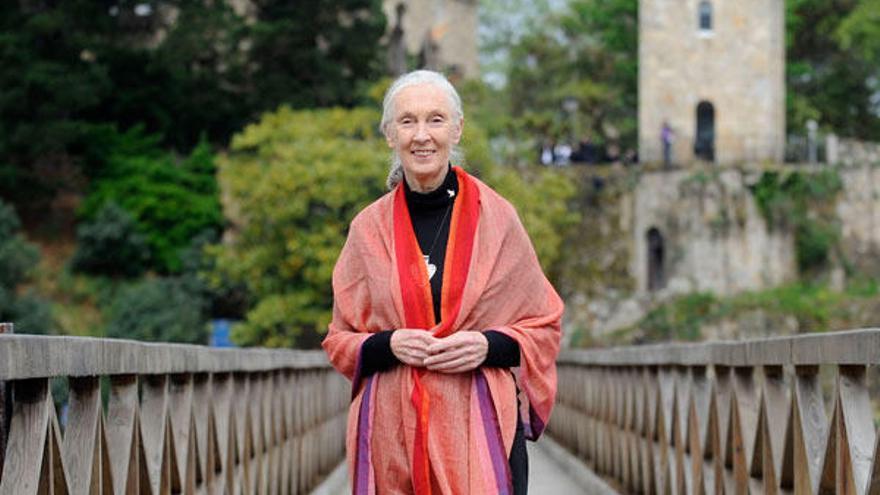 Jane Goodall respalda una campaña para que se prohíban las granjas de pulpos