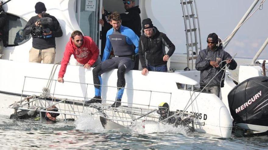 Phelps nada contra un tiburón blanco