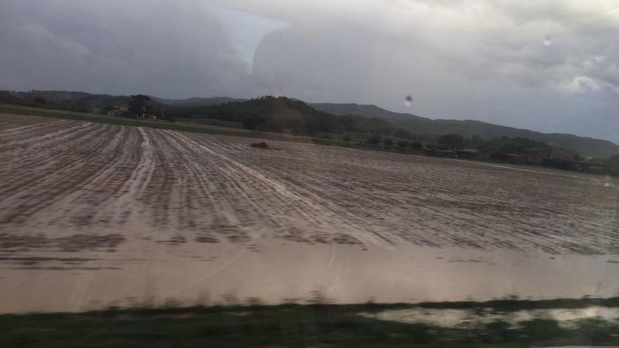 Un camp inundat vist des del tren entre Figueres i Girona.