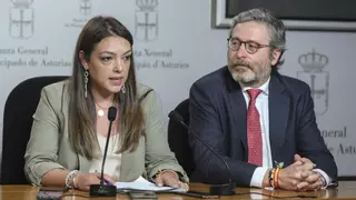 Vox pide "perdón" a los gijoneses por la salida de Oliver Suárez: "No lo supimos ver"