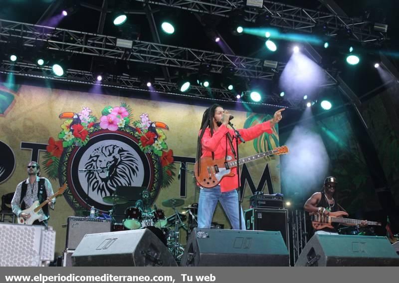 Rototom 2018