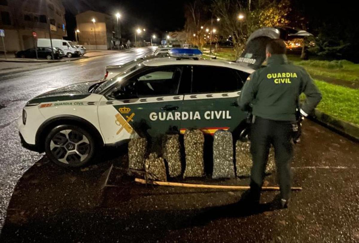 Parte del producto decomisado por la Guardia Civil.   | // FDV