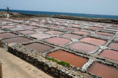 Reportaje en las Salinas de Tenefe en Pozo Izquierdo