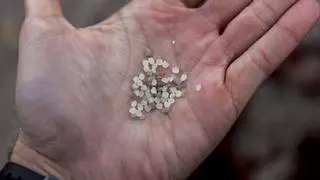 La Fiscalía advierte de los "indicios de toxicidad" de los pellets, que ya han llegado hasta Francia