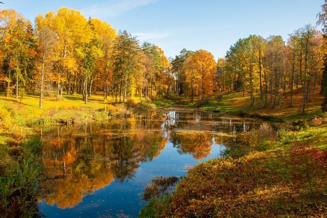Lago de Lituania, 5 planes para celebrar la llegada del otoño en Lituania