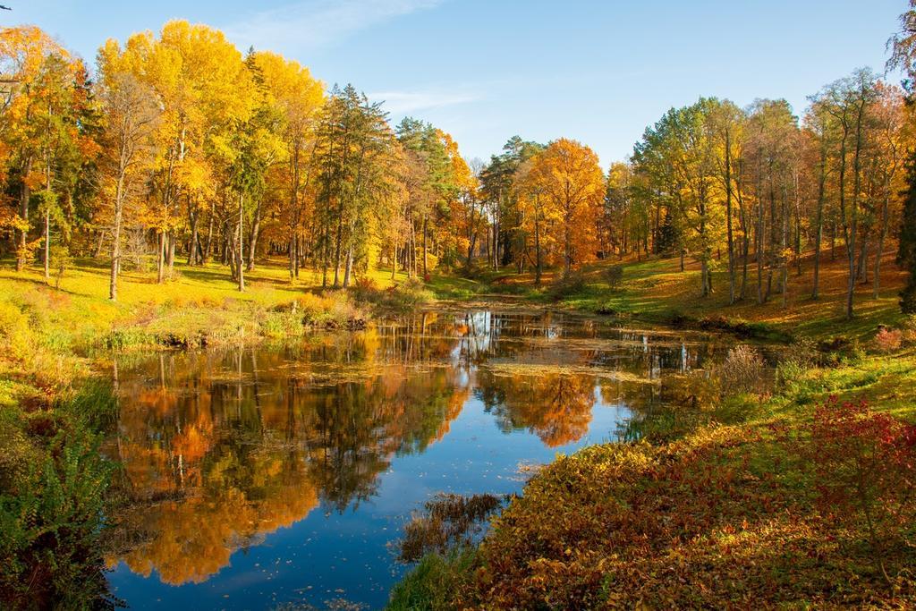 Precioso lag9o de Lituania que refleja los colores rojizos del otoño
