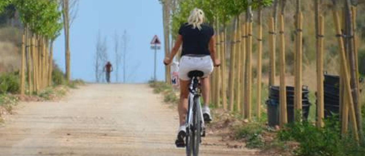 Caminos cerrados y pulgas para ciclistas y caminantes entre Son Servera y Artà.