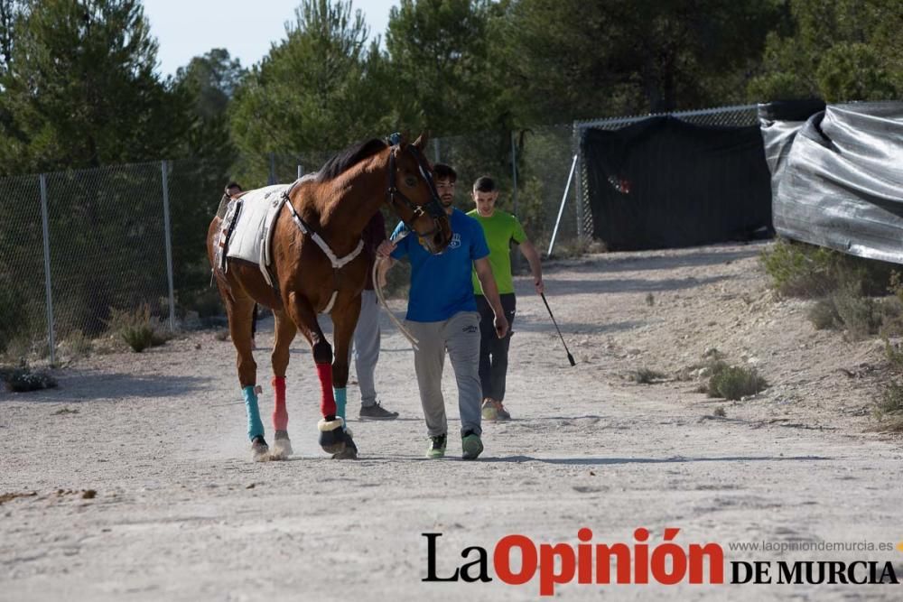 Entrenamiento Caballos del Vino