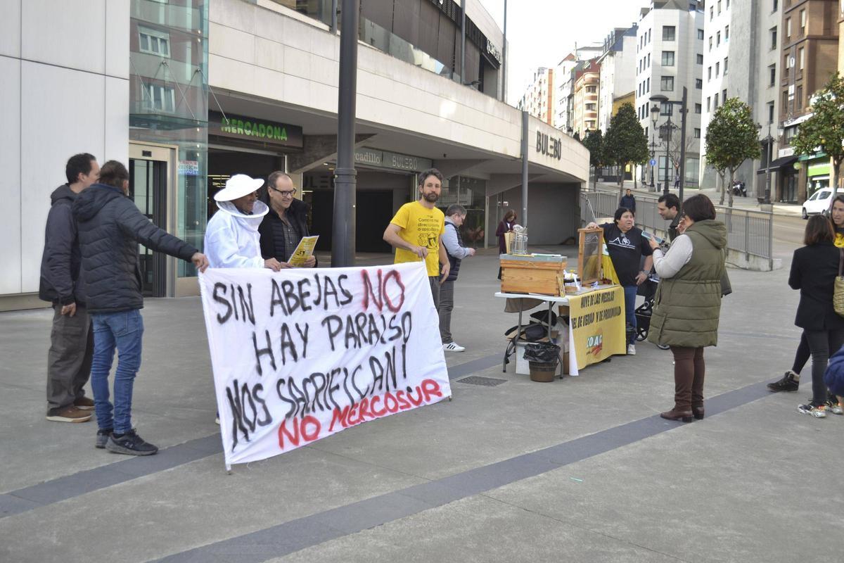 Cata de miel de Asturias, en Oviedo.