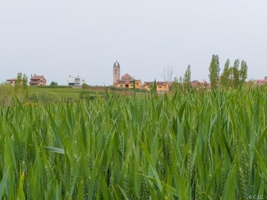 Meteoimatges Moianès