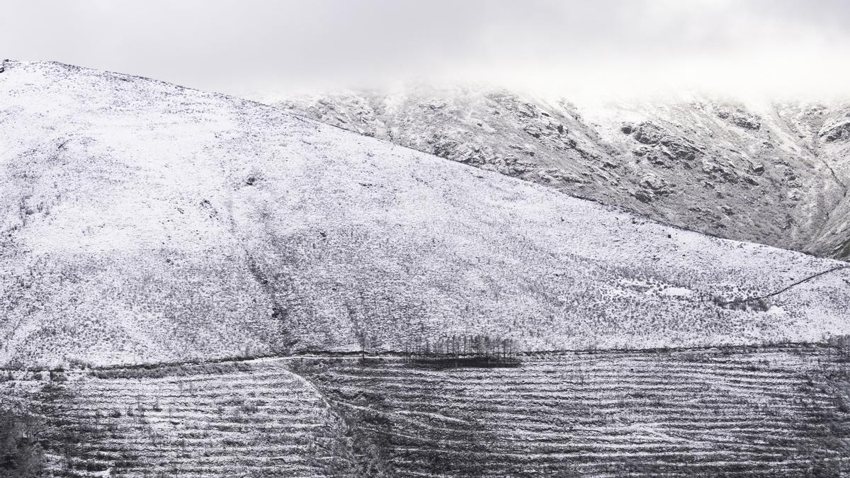 Fotogalería | La nieve cubre el norte de Extremadura