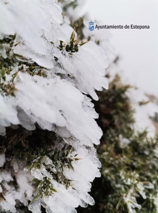 Nieve en Sierra Bermeja