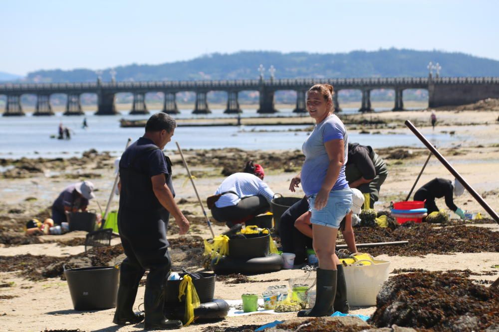 Marisqueo en Arousa