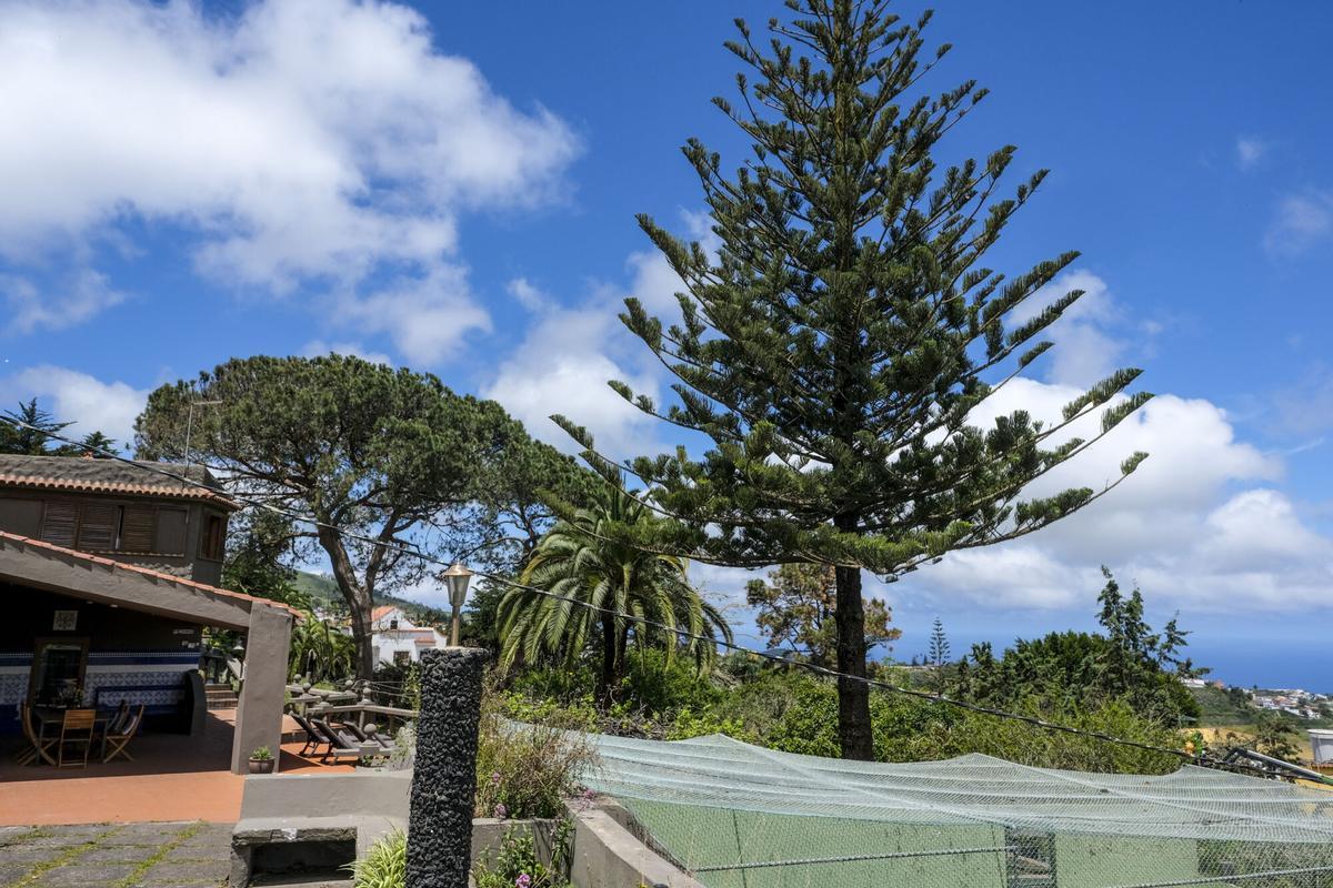 Casas rurales que estén alquiladas con motivo del Rally Islas Canarias