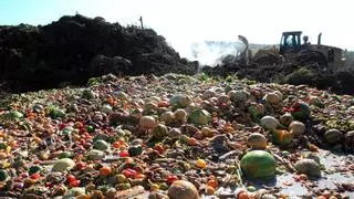 Informe: La quinta parte de la producción alimentaria de la UE acaba en la basura