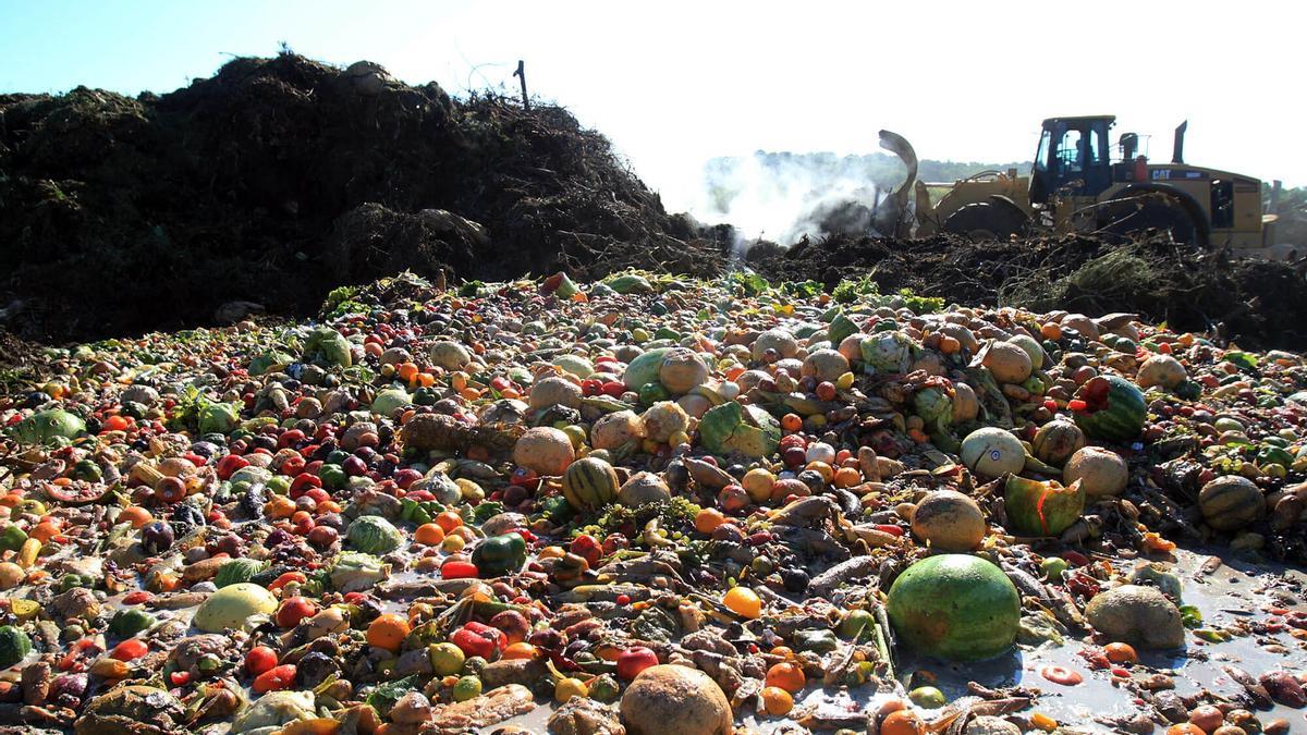 Toneladas de frutas y verduras de un vertedero.