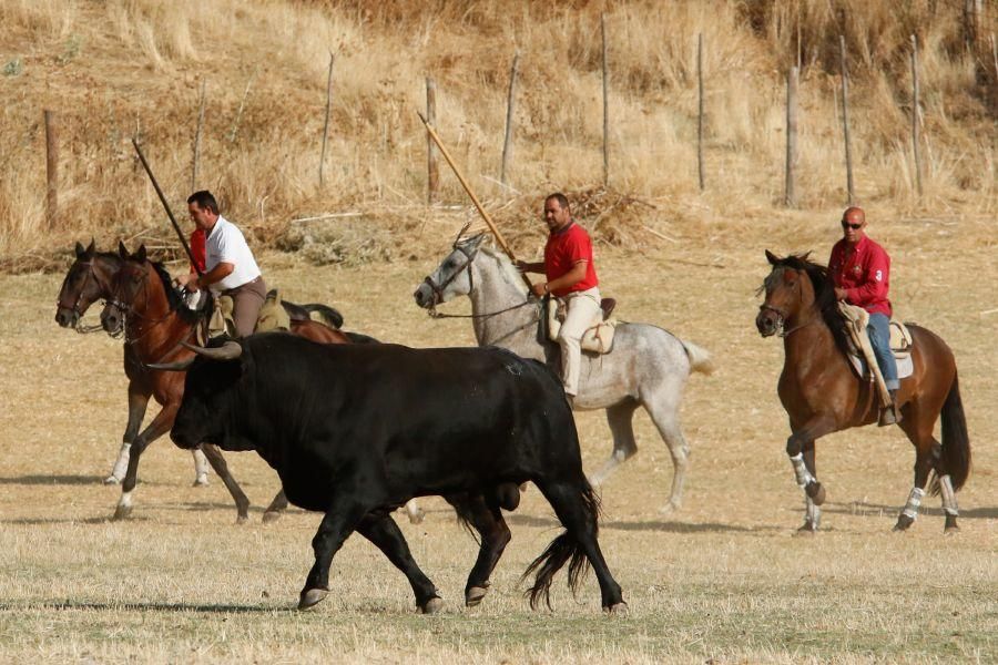 Fiestas en Zamora: Espantes en Fuentelapeña