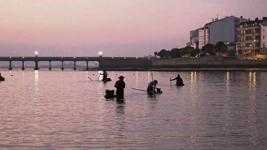 Mariscadoras de O Grove, Cambados, Meaño y Sanxenxo pertenecientes a la cofradía grovense en plena actividad, en el banco de A Vía, a la altura del puente de A Toxa. // Muñiz