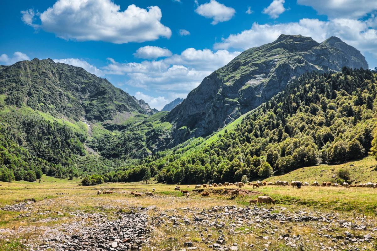 Valle del Arán (Lérida)