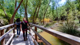 Descubre el Racó de Sant Bonaventura y disfruta de la naturaleza en la provincia de Alicante