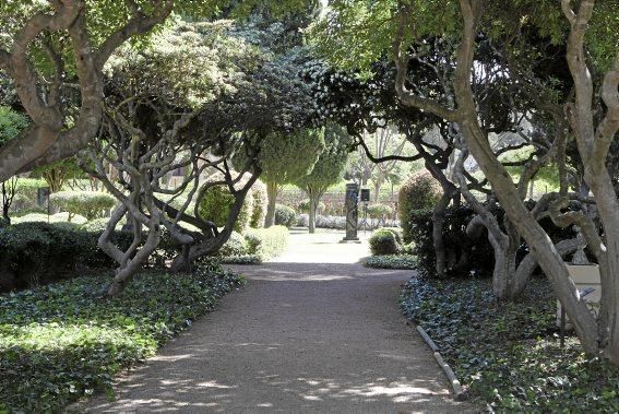 Lustwandeln wird zum Bürgerrecht. Die Gärten der königlichen Sommerresidenz in Palma öffnen erstmals für Besucher. Darüber freuen sich nicht nur Botanik-Fans, denn mit Skulpturen von Joan Miró kehr