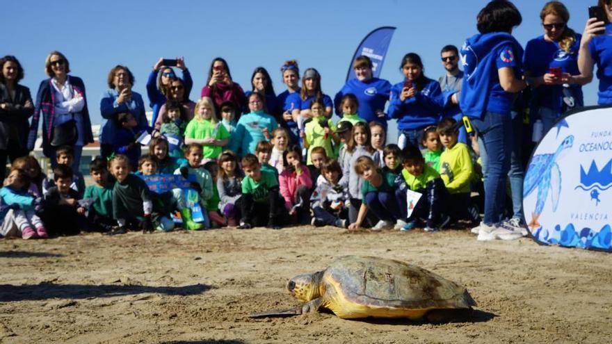 Los escolares han elegido el nombre de la tortuga, Luna.