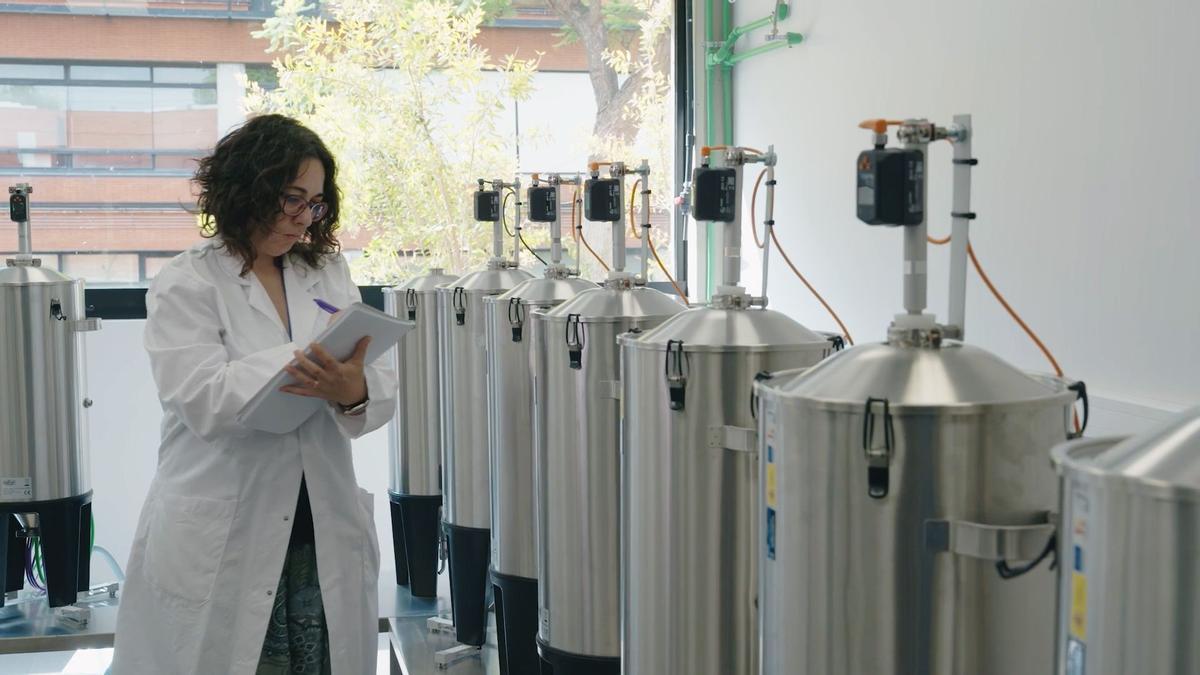La minibodega experimental del IATA de Valencia.