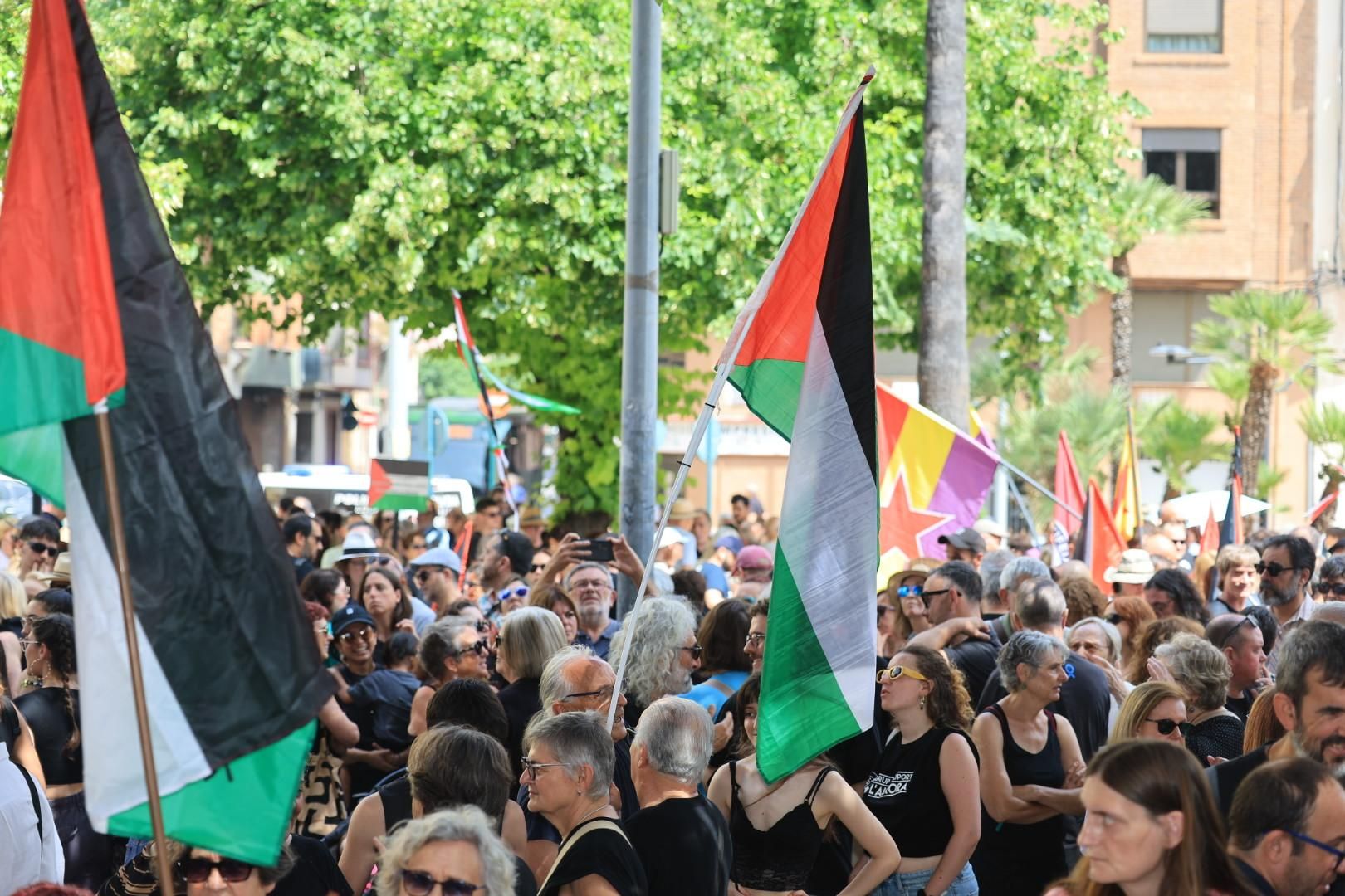 Manifestación a favor del pueblo palestino y la paz en Castellón