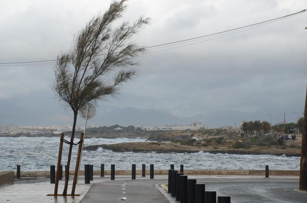 November-Wetter auf Mallorca - den Surfern gefällt's