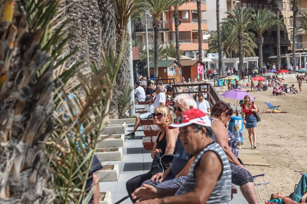Imágenes de Torrevieja de este viernes 13 de marzo con terrazas y paseos llenos y playas animadas