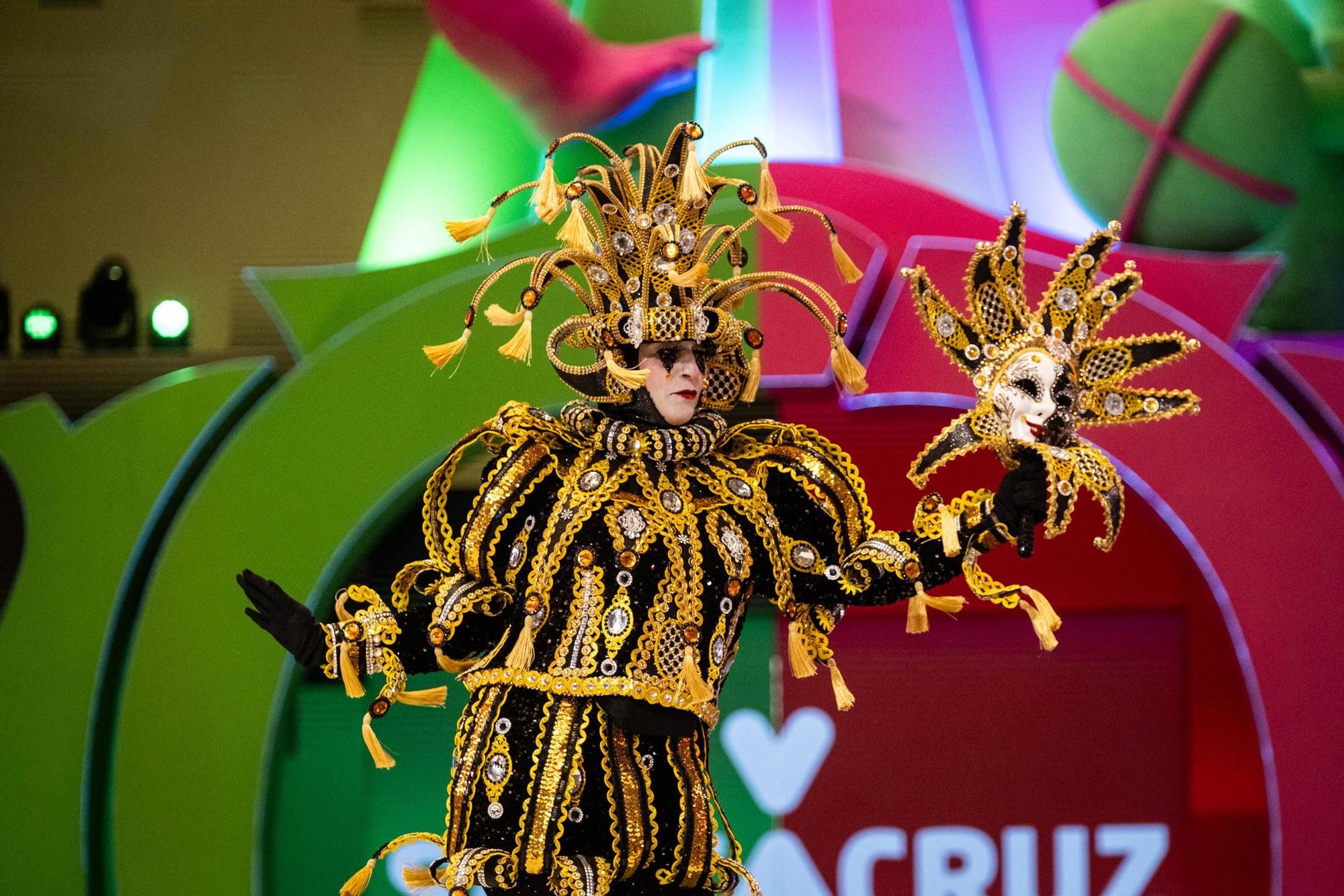 Concurso de disfraces del Carnaval de Santa Cruz de Tenerife 2024