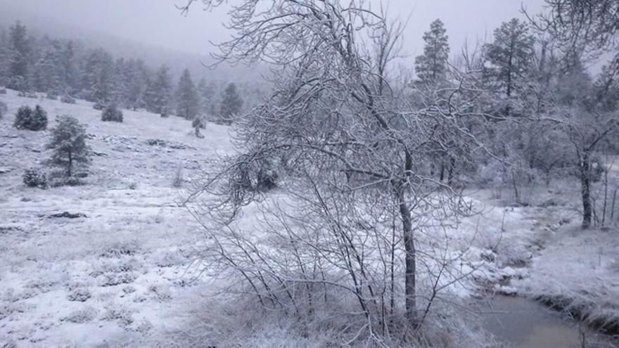 Los efectos del temporal de nieve y lluvia en Castellón