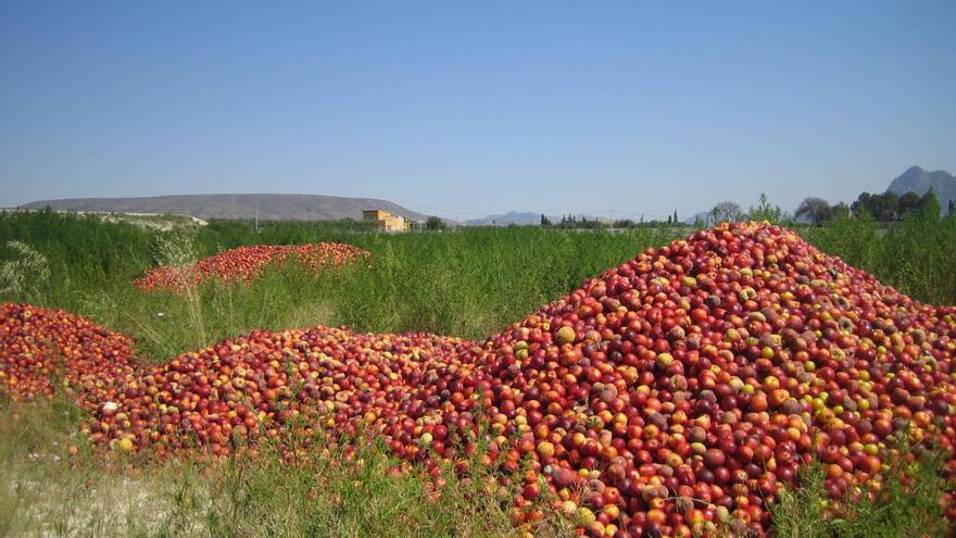 Montones de melocotones y nectarinas arrojados en los vertederos de Cieza en plena campaña de recolección.
