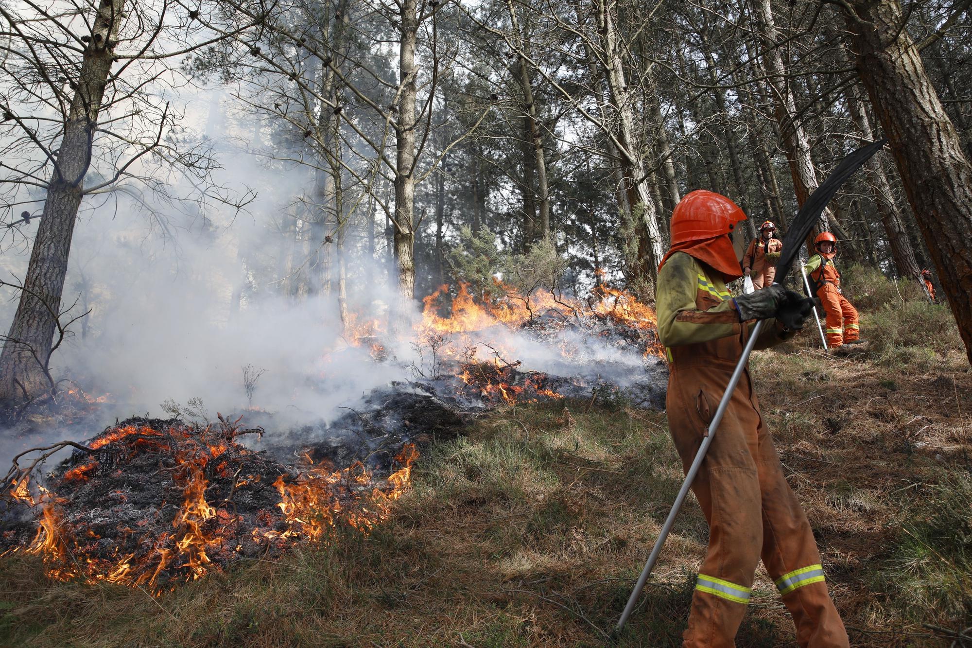 La lucha contra el fuego en el incendio entre Nava y Piloña