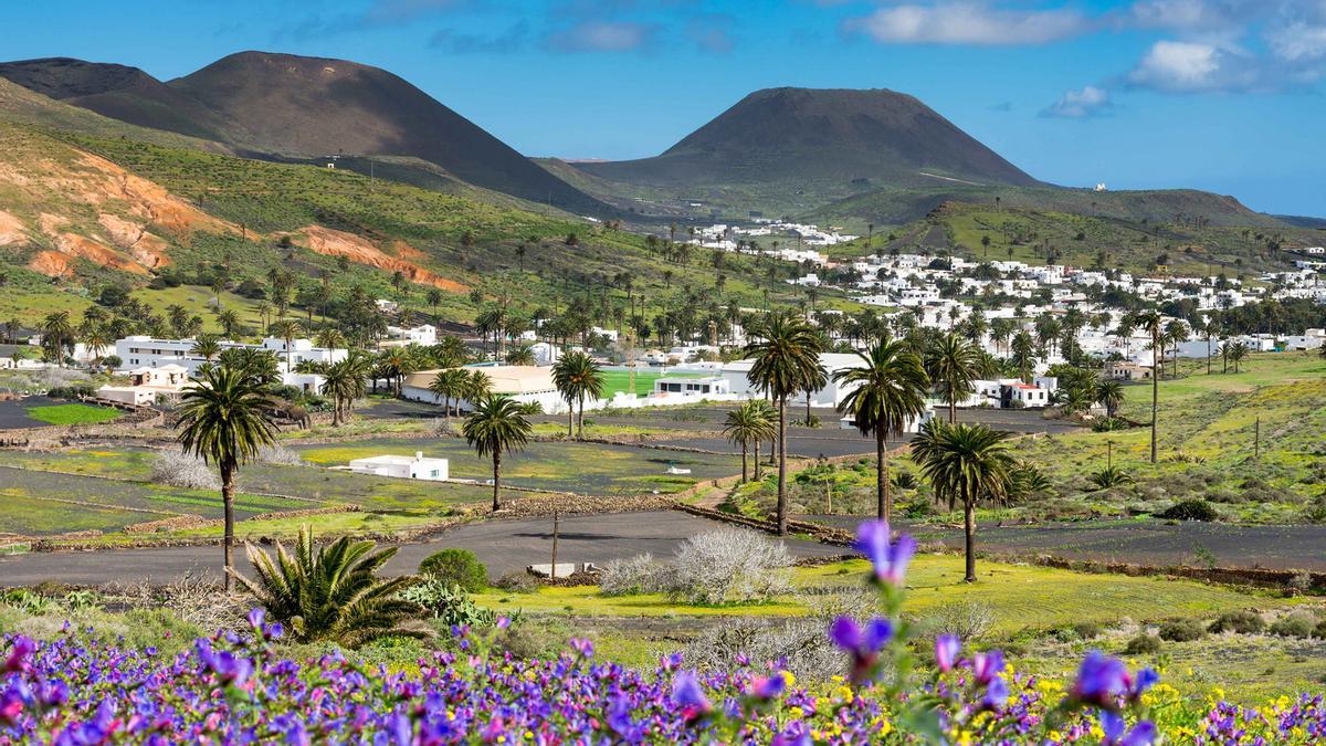 Vista panorámica de la primavera en Haría este mes de abril.