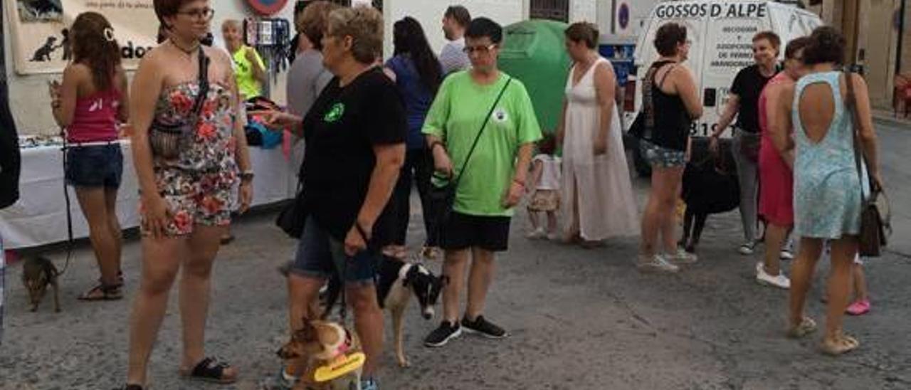 El abandono de animales se dispara un 40 % en los meses de verano en la Ribera