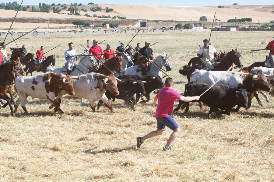 Fiestas en Zamora: Segudos espantes de Fuentesaúco