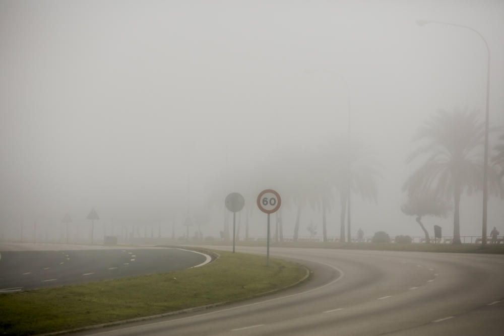 La niebla cubre Mallorca y no se irá hasta mañana