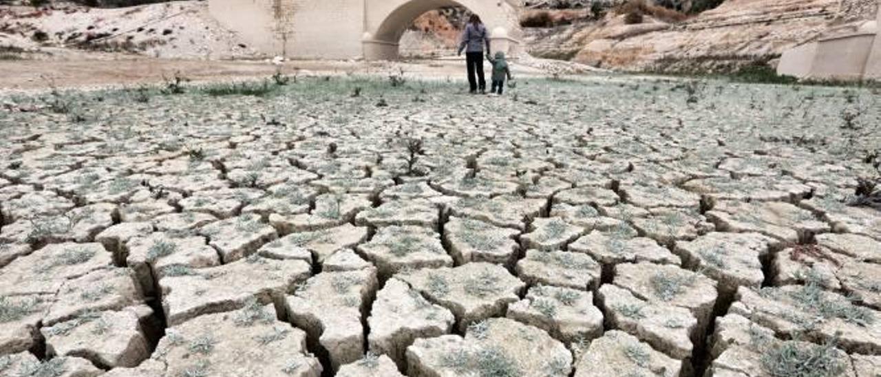 La tierra se resquebraja en el suelo del pantano en aquellos lugares que hacía años en los que sólo se veía agua.