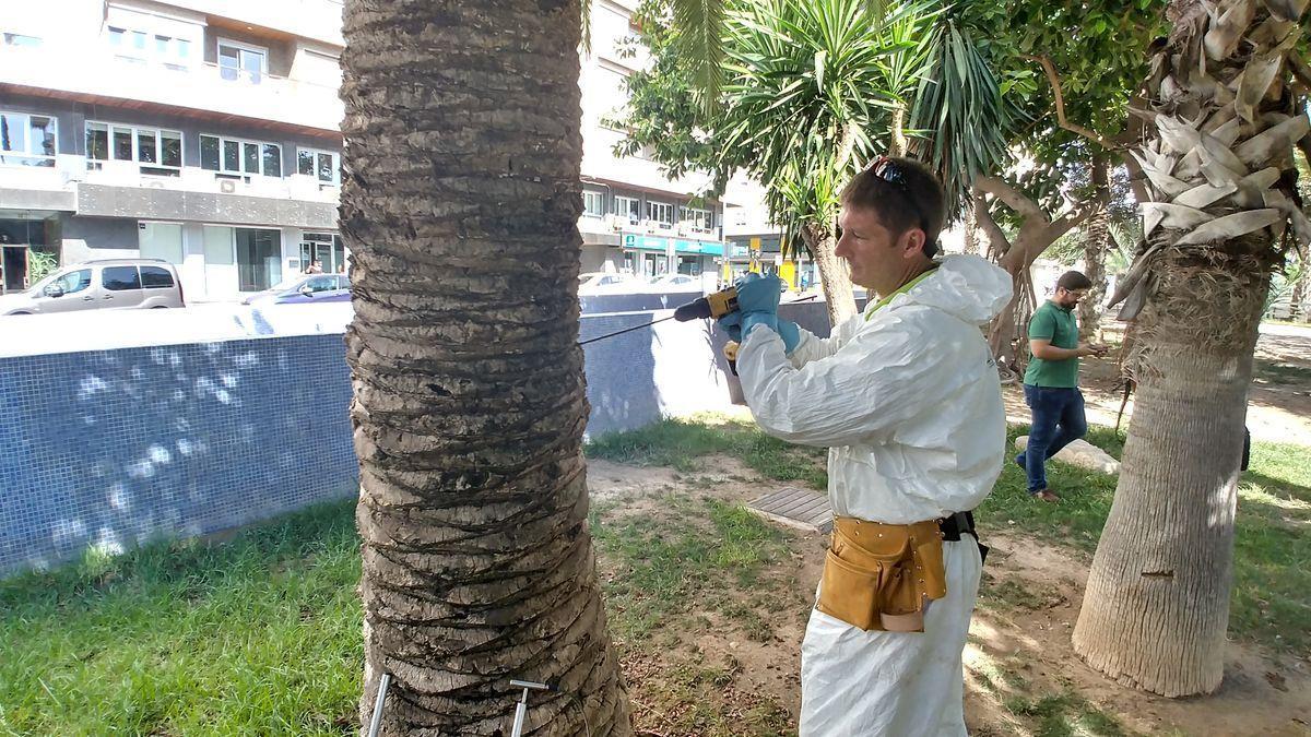 Un trabajador de control de plagas.