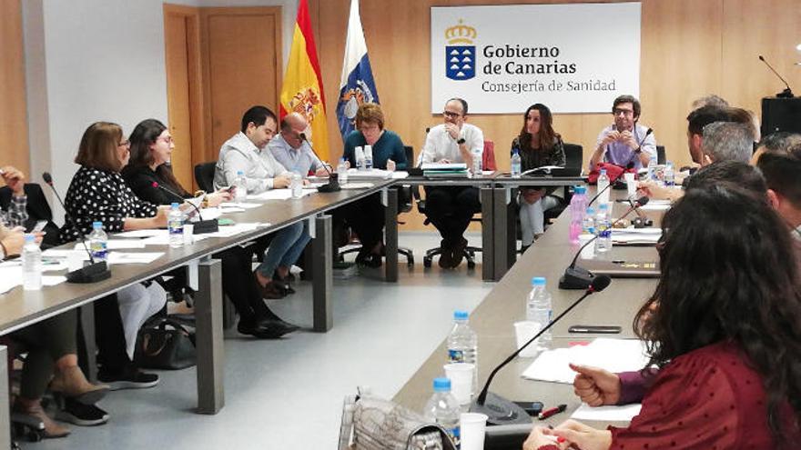 Instante de la mesa sectorial de Sanidad celebrada ayer.