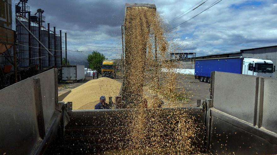 A worker loads a truck with grain at a terminal during barley harvesting in Odesa region, as Russia's attack on Ukraine continues, Ukraine June 23, 2022. REUTERS/Igor Tkachenko