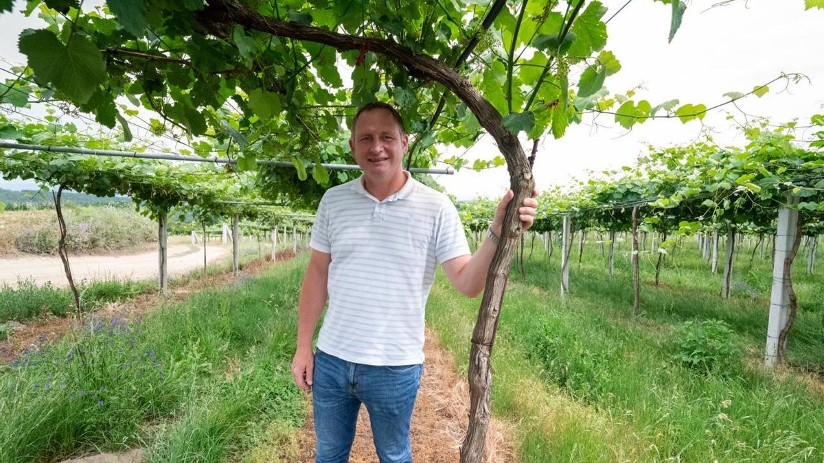 Pablo Estévez es el Mejor Enólogo de Vinos Jóvenes de España.