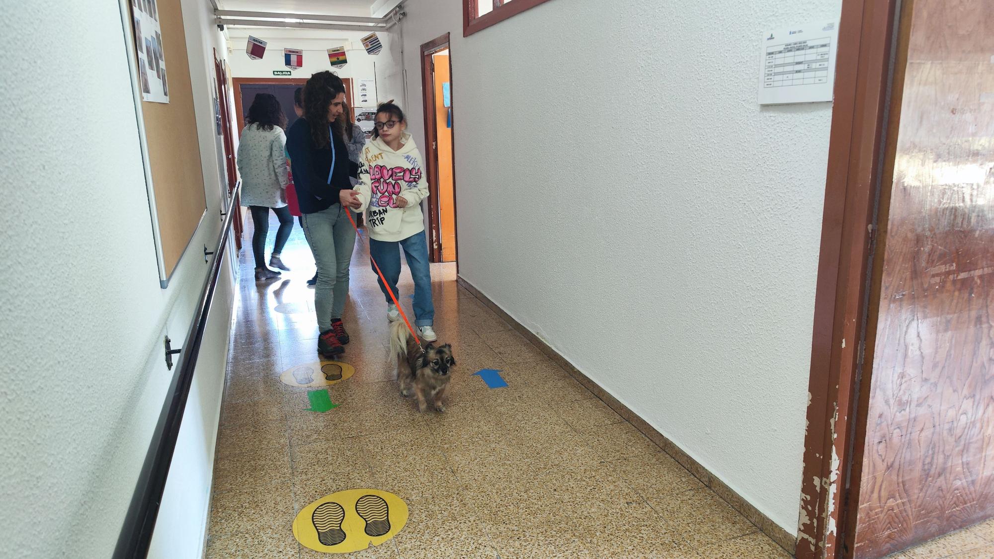 La terapia canina en Santullano, en imágenes