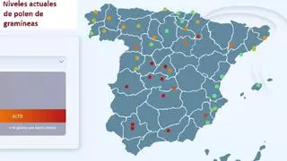 La alergia por polen de gramíneas estalla en España: este es el mapa a día de hoy