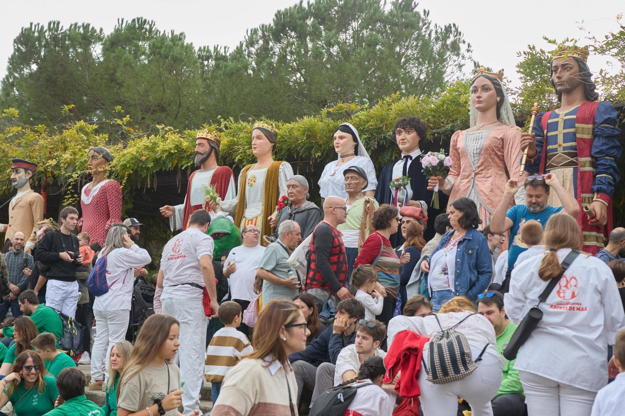 Les fotos de la trobada de gegants i bestiari de Girona