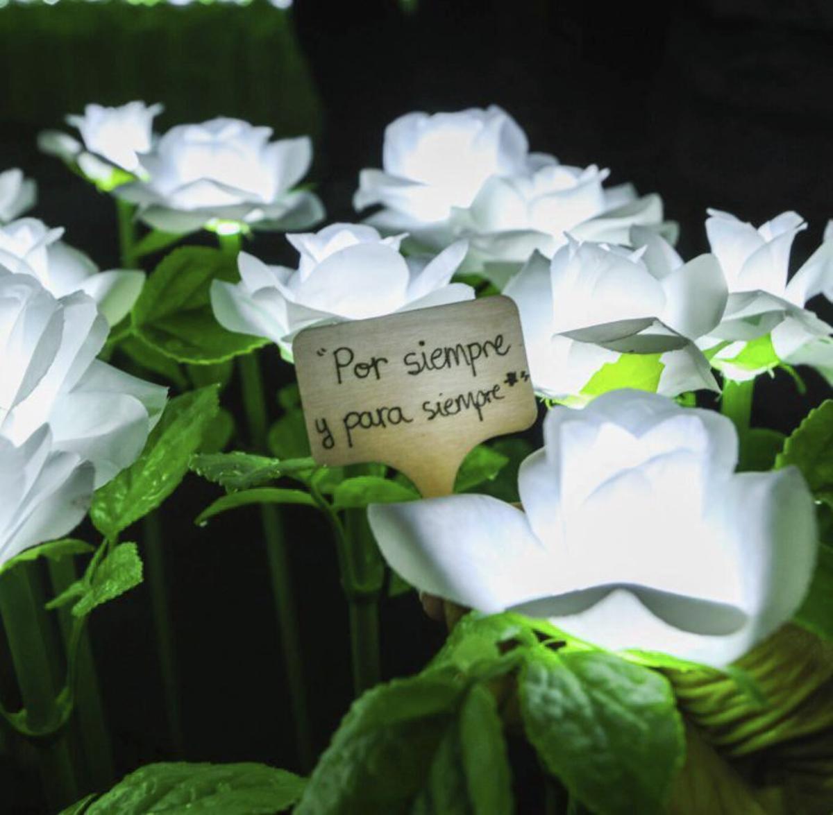 Charo Barca: «Todos tenemos seres de luz»