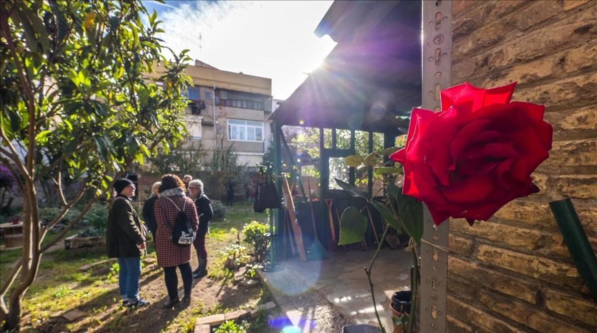 zentauroepp41458690 barcelona 2 de enero de 2018 el distrito comprar el horte180103101212 zentauroepp41458690 barcelona 2 de enero de 2018 el distrito comprar el horte180103101212