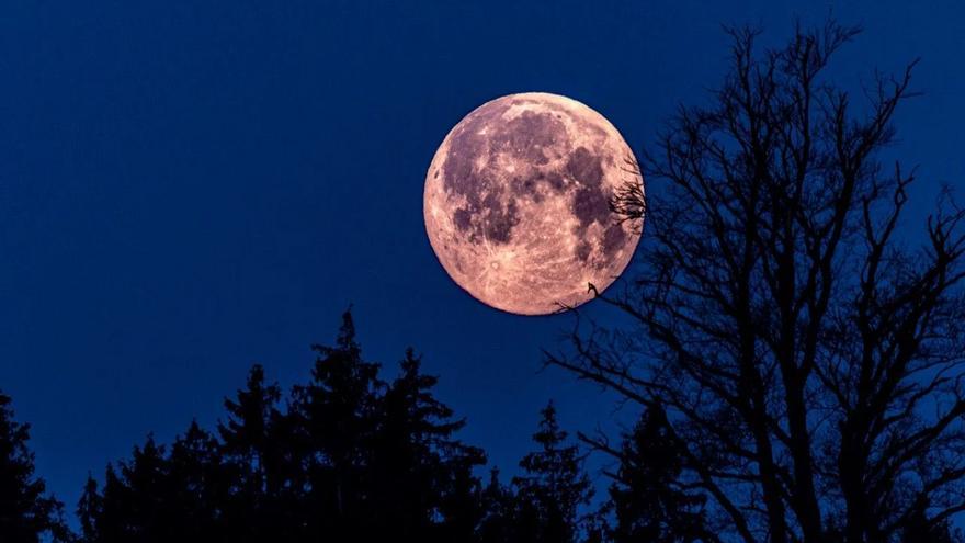 Llega la Luna Rosa de abril: ¿dónde, cómo y cuándo verla?