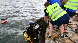 Hippocampus volverá a limpiar los fondos marinos de San Javier y Los Alcázares